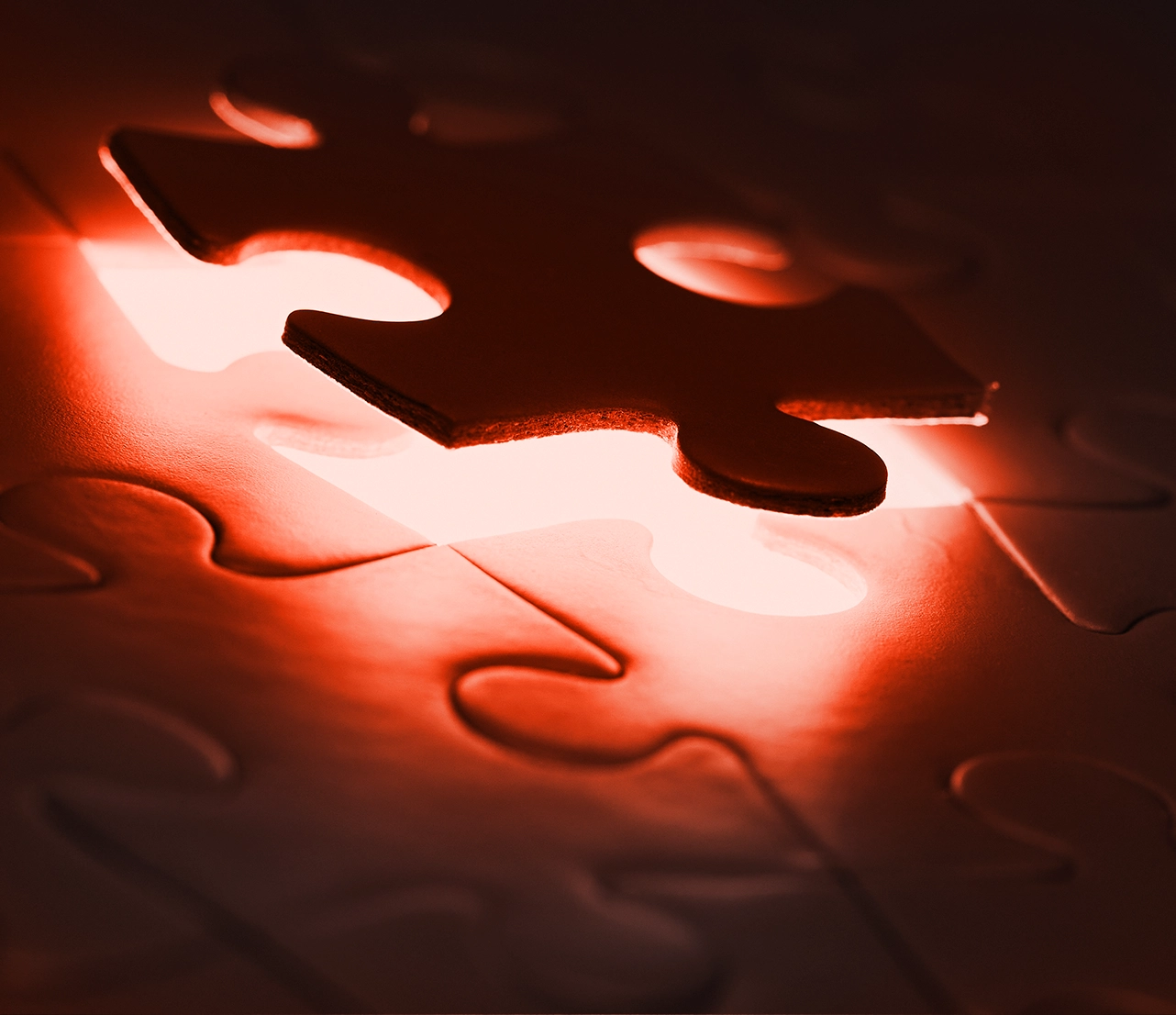 Partnership - WebAceSolution